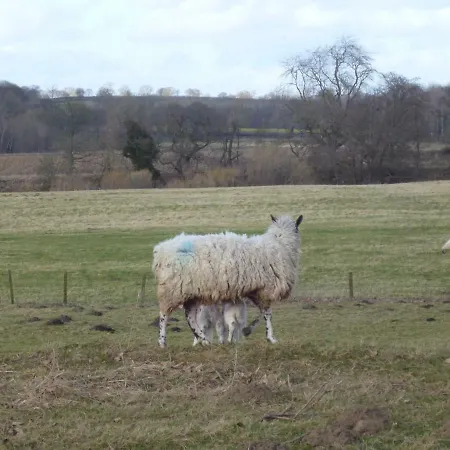 Mickley Bed And Breakfast ベッド・アンド・ブレックファスト Mickley