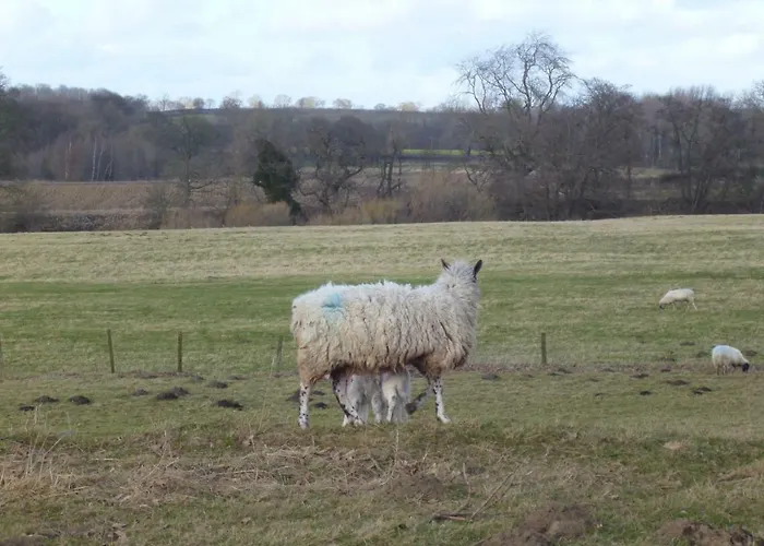 Mickley Bed And Breakfast Bed & Breakfast Mickley (North Yorkshire)
