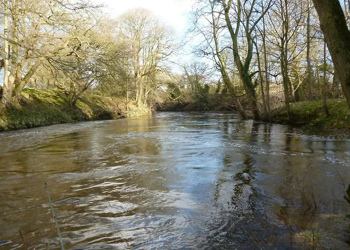 Mickley Bed And Breakfast Bed & Breakfast 5*