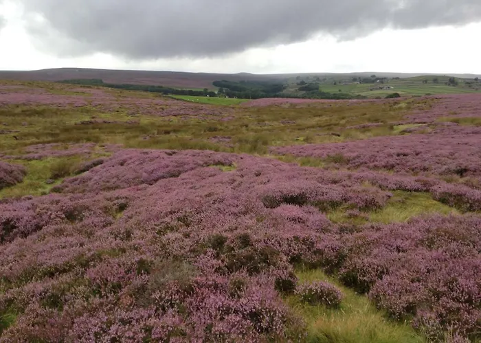 Mickley Bed And Breakfast